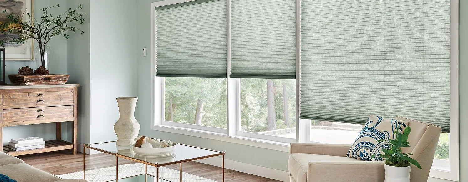 Graber Roller Shades