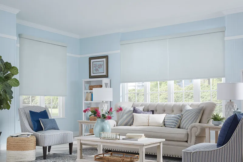 Luxurious Roller Shade Fabrics