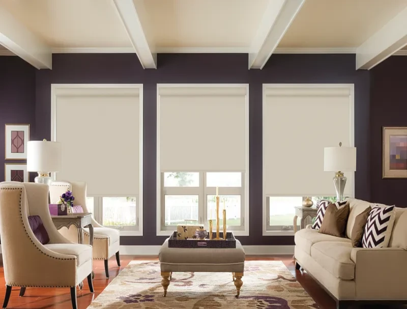 Graber Roller Shades